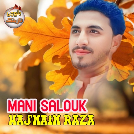 Mani Salouk | Boomplay Music