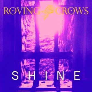 Shine (radio edit)