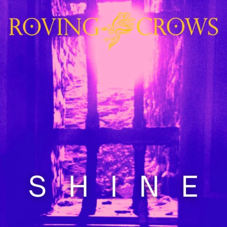 Shine (radio edit) | Boomplay Music