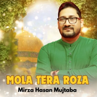 Mola Tera Roza