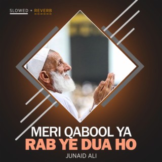 Meri Qabool Ya Rab Ye Dua Ho Lofi