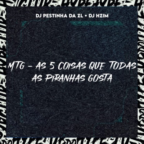 MTG AS 5 COISAS QUE TODAS AS PIRANHAS GOSTA ft. DJ HZIM & DJ PESTINHA ZL