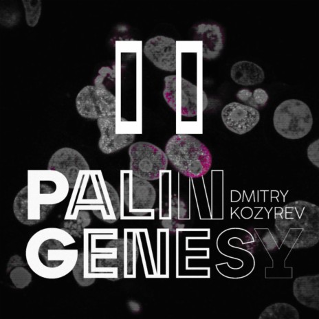 Palingenesy II | Boomplay Music