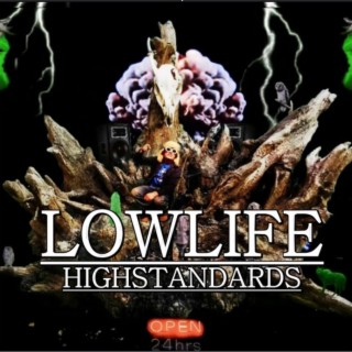 LOWLIFE HIGHSTANDARDS
