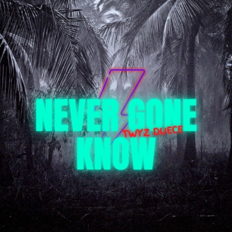 Never Gone Know | Boomplay Music