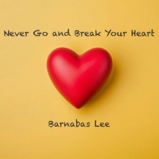 Never Go and Break Your Heart lyrics | Boomplay Music