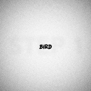 Bird (step 1)