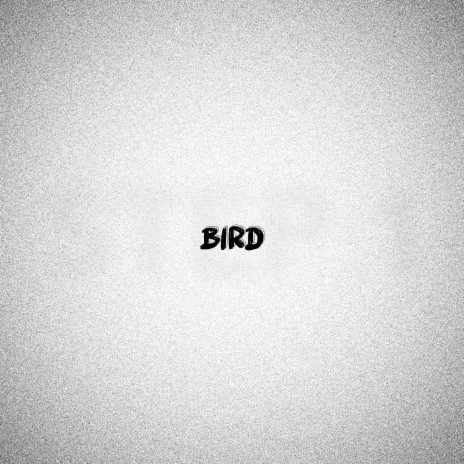 Bird (step 1)