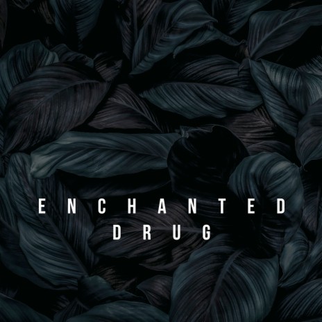 Enchanted Drug | Boomplay Music