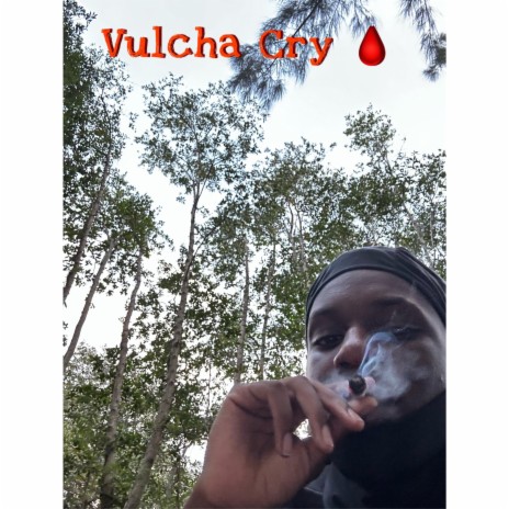 Vulcha Cry | Boomplay Music