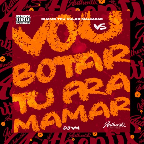 Chamo Teu Vulgo Malvadão Vs Vou Botar Tu pra Mamar | Boomplay Music