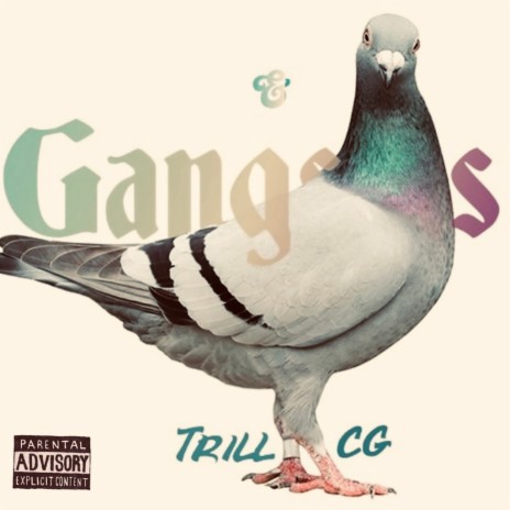 Gangstas & Pigeons | Boomplay Music