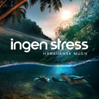 Ingen stress: Avkopplande hawaiiansk musik för djup massage och spabehandlingar