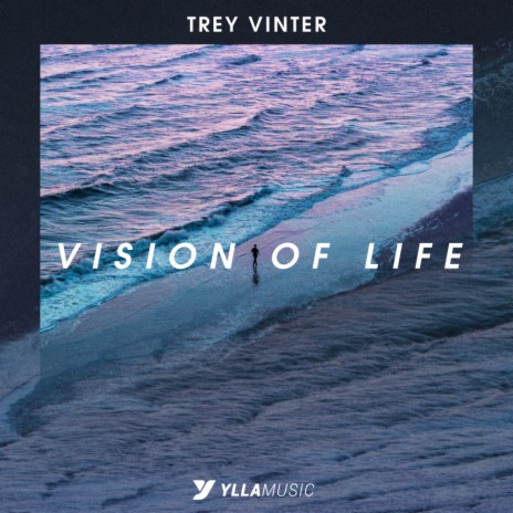 Vision Of Life (Original Mix)