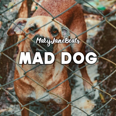 Mad Dog | Boomplay Music
