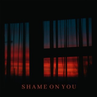Shame On You ft. Bingx lyrics | Boomplay Music