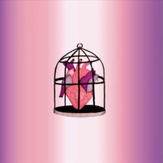 L'amour de sa cage lyrics | Boomplay Music