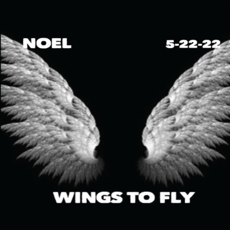 Wings To Fly | Boomplay Music