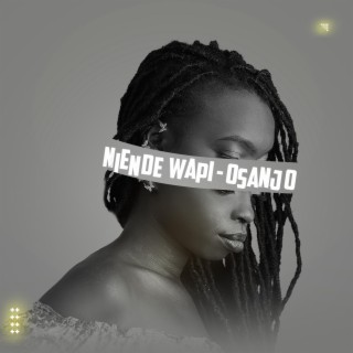 Niende Wapi lyrics | Boomplay Music