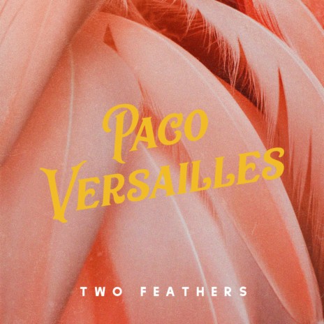 Two Feathers | Boomplay Music