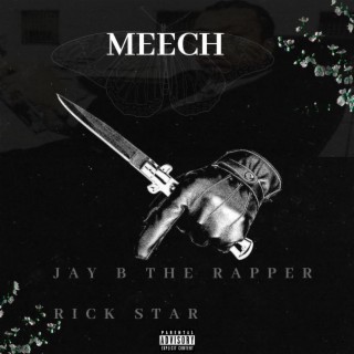 MEECH