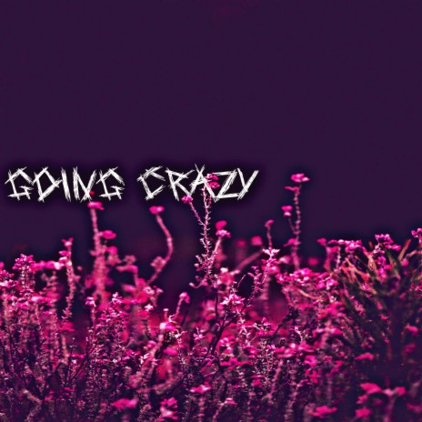 Going Crazy | Boomplay Music