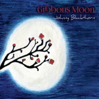 Gibbous Moon