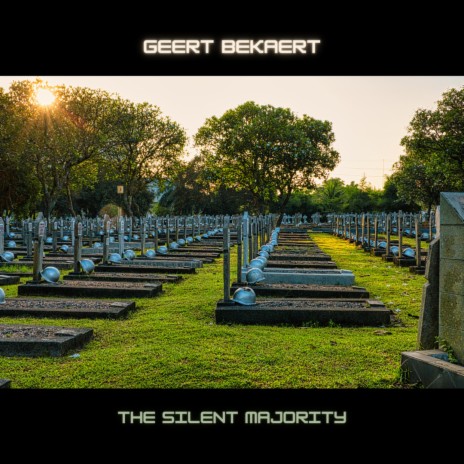 The silent majority | Boomplay Music