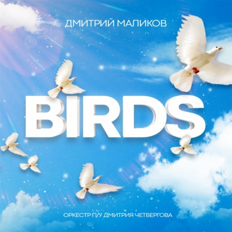 Birds ft. Оркестр п/у Дмитрия Четвергова | Boomplay Music