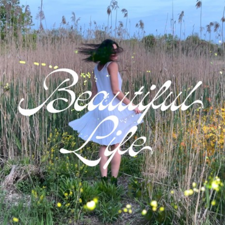 Beautiful Life | Boomplay Music