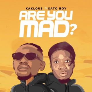 Are You Mad? ft. Gato Boy lyrics | Boomplay Music