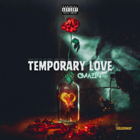 Temporary Love | Boomplay Music