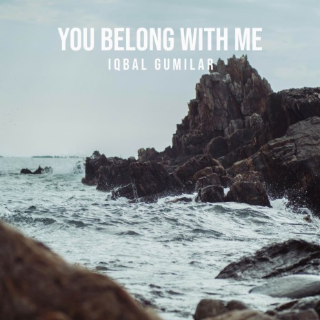 You Belong With Me (Acoustic Guitar) | Boomplay Music