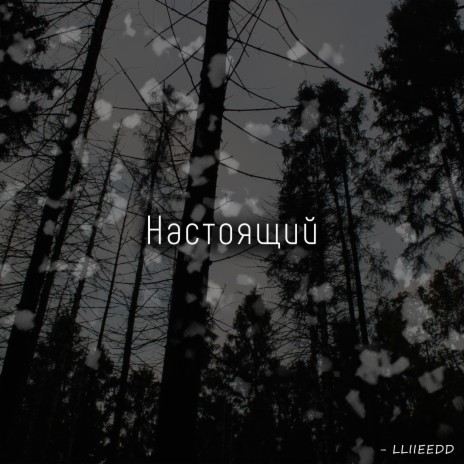 Настоящий | Boomplay Music