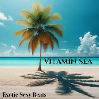 Vitamin Sea: Exotic Beats, Dancehall Music, Summer Vibes