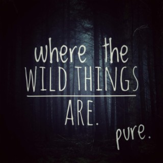 where the wild things are. lyrics | Boomplay Music