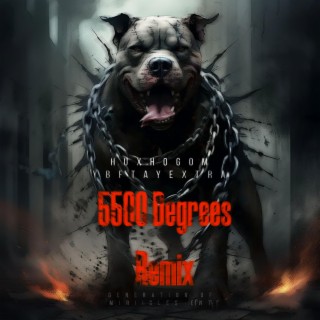 5500 Degrees (Remix)