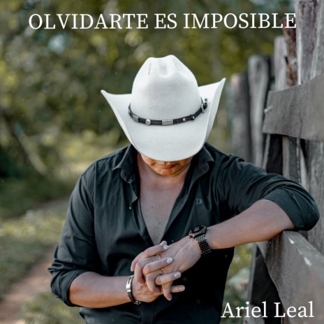 Olvidarte Es Imposible | Boomplay Music