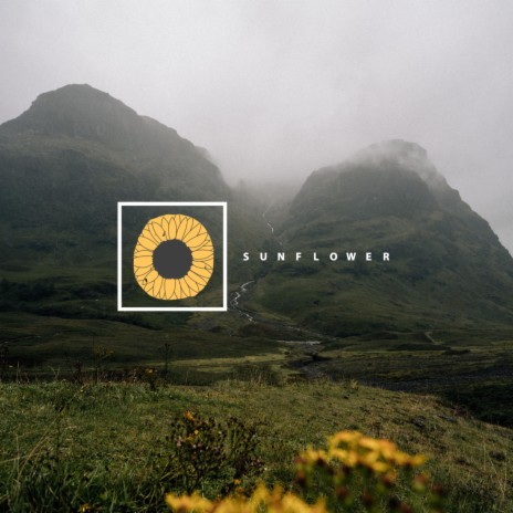 Sunflower | Boomplay Music