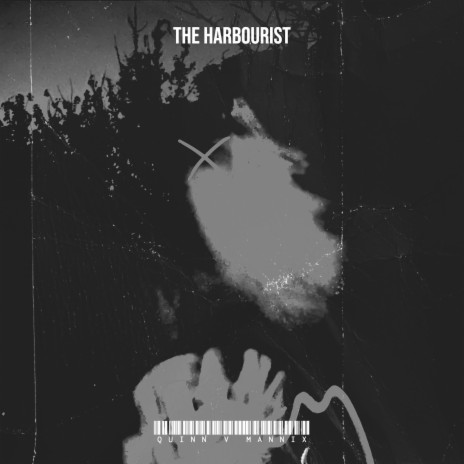 The Harbourist | Boomplay Music