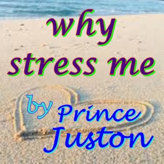 Why Stress Me lyrics | Boomplay Music