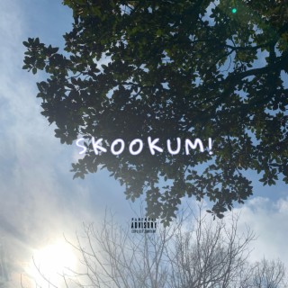 SKOOKUM! lyrics | Boomplay Music