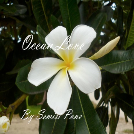 Ocean Love | Boomplay Music