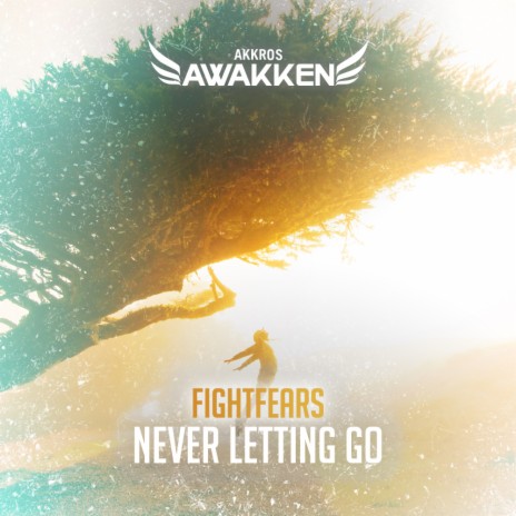 Never Letting Go (Original Mix) | Boomplay Music