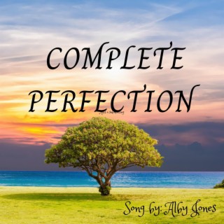 Complete Perfection lyrics | Boomplay Music