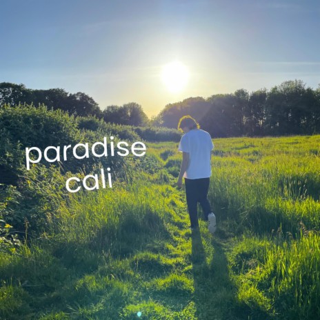 paradise cali | Boomplay Music