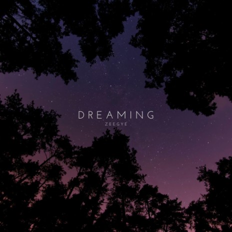 Dreaming | Boomplay Music