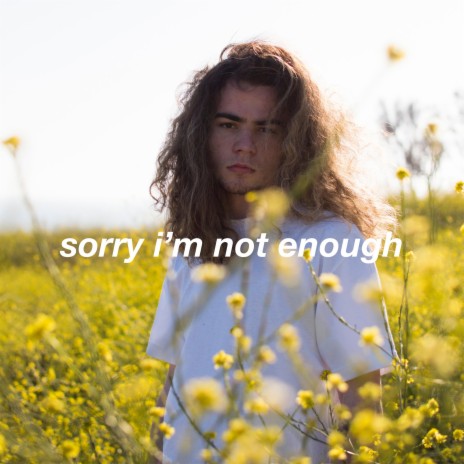 Sorry I'm Not Enough | Boomplay Music