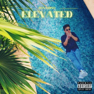 Elevated lyrics | Boomplay Music