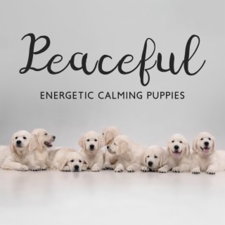 Peaceful Energetic Calming Puppies: Dog Music, Anxiety and Stress Relief Music, Sleepy Puppy